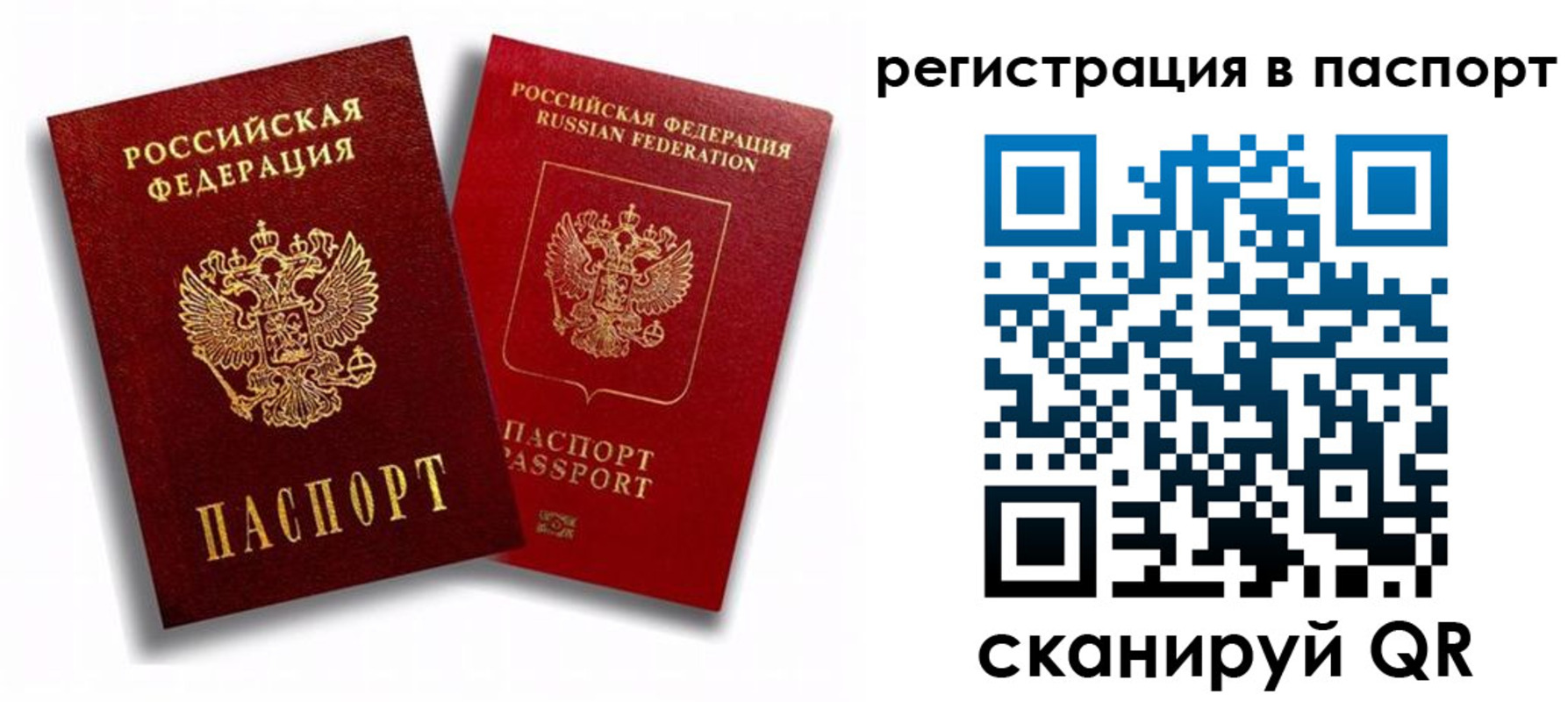 прописка 2025 в Бердске